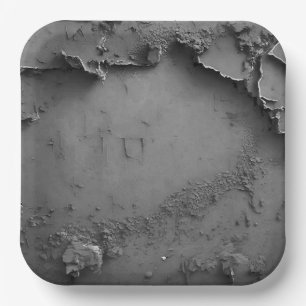 Assiettes En Carton 3 Dimensionner Gris Rustique