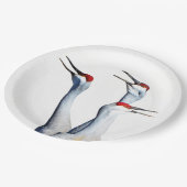 Assiettes En Carton 3 Grues Sandhill Plaques de papier photo (Angle)