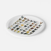Assiettes En Carton 49 poules de poulet (Angle)