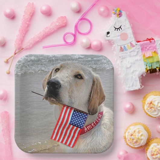 Assiettes En Carton 4 juillet Labrador Retriever avec drapeau (Fête)