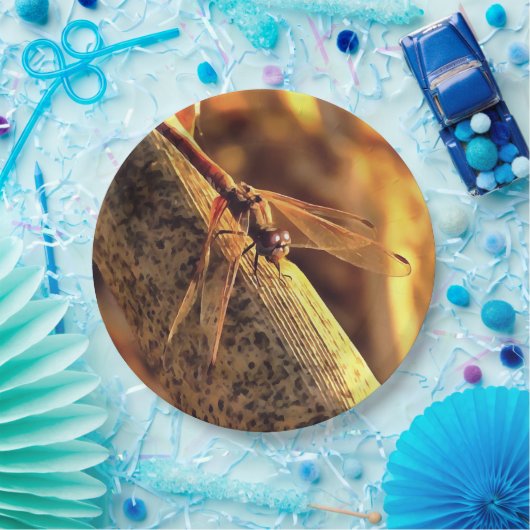 Assiettes En Carton 534424932Elegant Red Darter Dragonfly Insect Art (Fête)