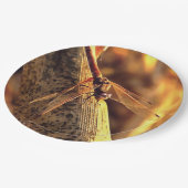 Assiettes En Carton 534424932Elegant Red Darter Dragonfly Insect Art (Angle)