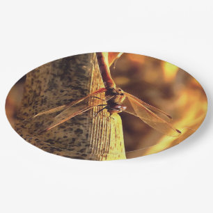 Assiettes En Carton 534424932Elegant Red Darter Dragonfly Insect Art