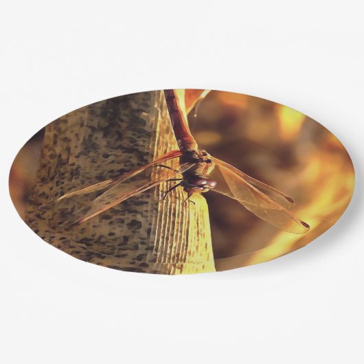 Assiettes En Carton 534424932Elegant Red Darter Dragonfly Insect Art (Angle)