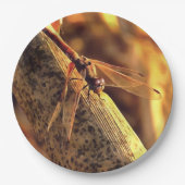 Assiettes En Carton 534424932Elegant Red Darter Dragonfly Insect Art (Devant)