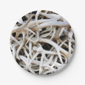 Assiettes En Carton 8 Antlers en Elk Plaque Papier (Devant)