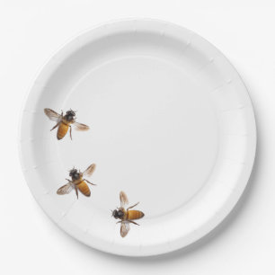 Assiettes En Carton Abeilles de miel