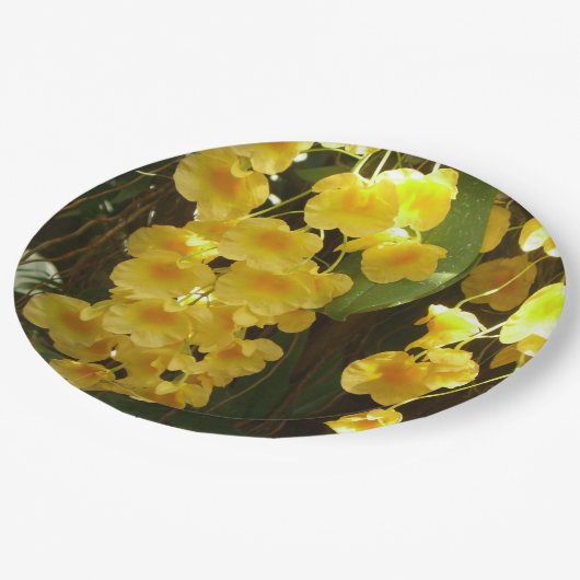 Assiettes En Carton Accrocher les orchidées jaunes Fleurs tropicales (Angle)