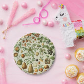 Assiettes En Carton Adolphe Millot - Fruits (Fête)