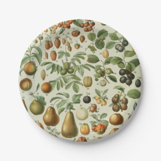 Assiettes En Carton Adolphe Millot - Fruits