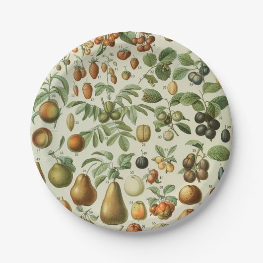 Assiettes En Carton Adolphe Millot - Fruits (Devant)