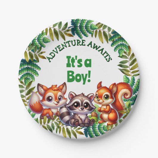 Assiettes En Carton Adventure Await It's a Boy Baby shower (Devant)