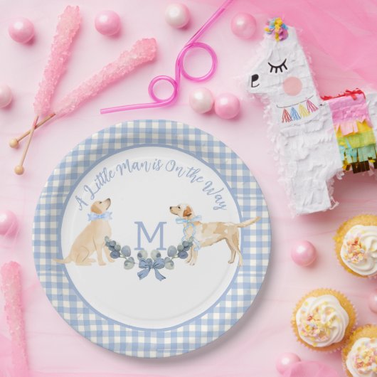 Assiettes En Carton Affiche de bienvenue Baby shower bleu et blanc En  (Fête)