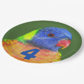 Assiettes En Carton Âge d'anniversaire de l'enfant Rainbow Lorikeet (Angle)
