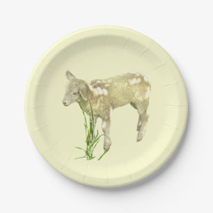 Assiettes En Carton Agneau doux de bébé sur le jaune plaque à papier