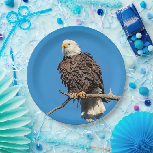 Assiettes En Carton Aigle à tête blanche sur une branche d'arbre (Fête)