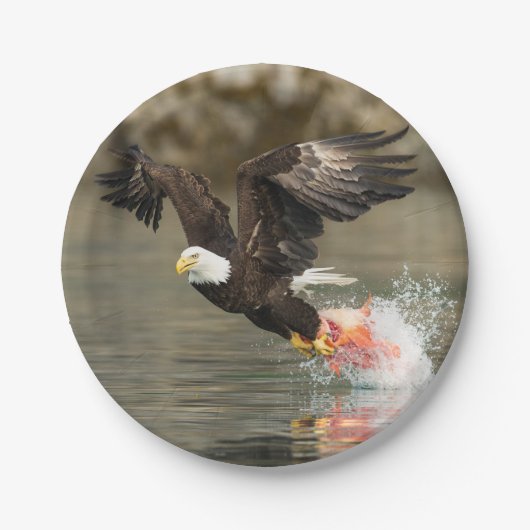 Assiettes En Carton Aigle à tête plate (Devant)