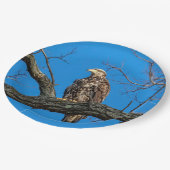 Assiettes En Carton Aigle des chauves-souris immature de Peekskill, Ne (Angle)