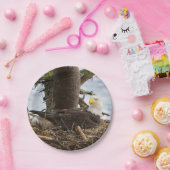 Assiettes En Carton Aigle nicheur (Fête)