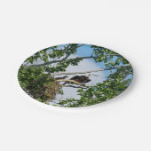 Assiettes En Carton Aigles chauds (Angle)