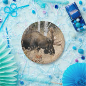 Assiettes En Carton Aiguille (Fête)