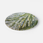 Assiettes En Carton Aiguilles de pin recouvert de glace Botanique hive (Angle)