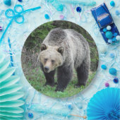 Assiettes En Carton Alaska Grizzly Bear Photo de la faune (Fête)