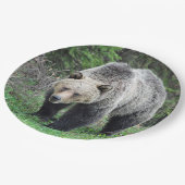 Assiettes En Carton Alaska Grizzly Bear Photo de la faune (Angle)