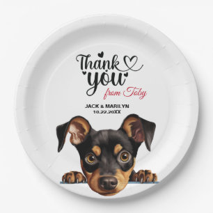 Assiettes En Carton Allemand Pinscher