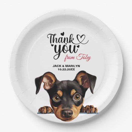 Assiettes En Carton Allemand Pinscher (Devant)