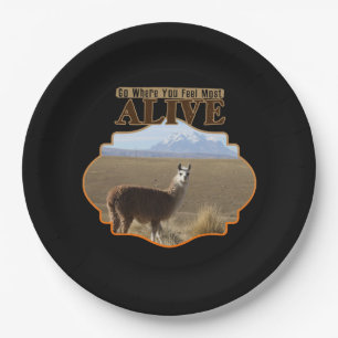 Assiettes En Carton Allez Là Où Vous Sentez Le Plus Alive Llama Aventu