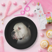 Assiettes En Carton American Bull Dog Portrait (Fête)