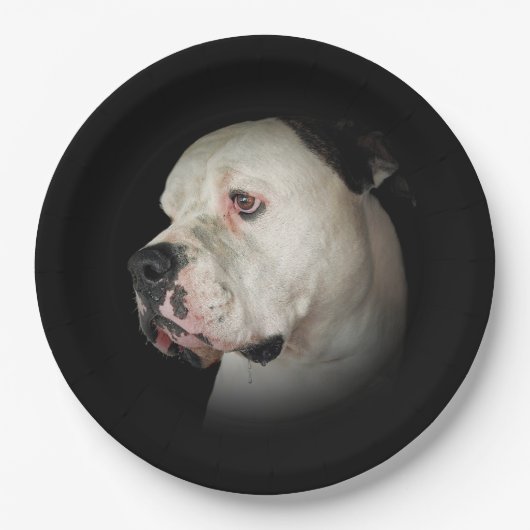 Assiettes En Carton American Bull Dog Portrait (Devant)