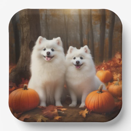 Assiettes En Carton American Eskimo Chiot Automne Citrouille délice (Recto)