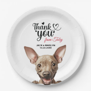 Assiettes En Carton American Hairless Terrier