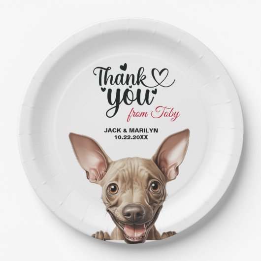 Assiettes En Carton American Hairless Terrier (Devant)