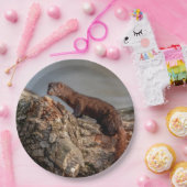 Assiettes En Carton American Mink (Fête)