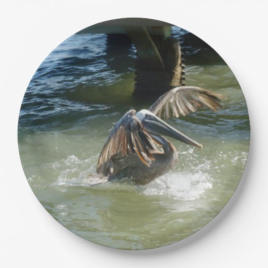 Assiettes En Carton Amerrissage (Devant)