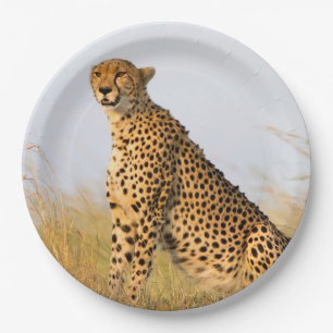 Assiettes En Carton Amoureux des chats cheetah photo