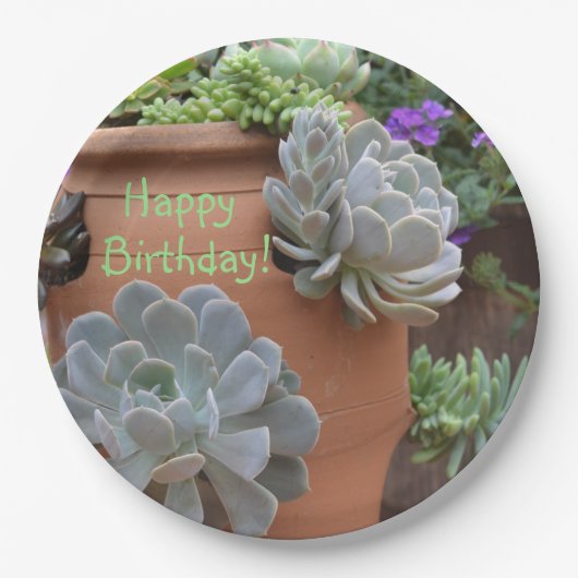 Assiettes En Carton Amusement D'Anniversaire Avec Succulents (Devant)