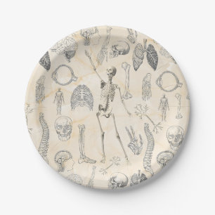 Assiettes En Carton Anatomie humaine vintage pour le docteur