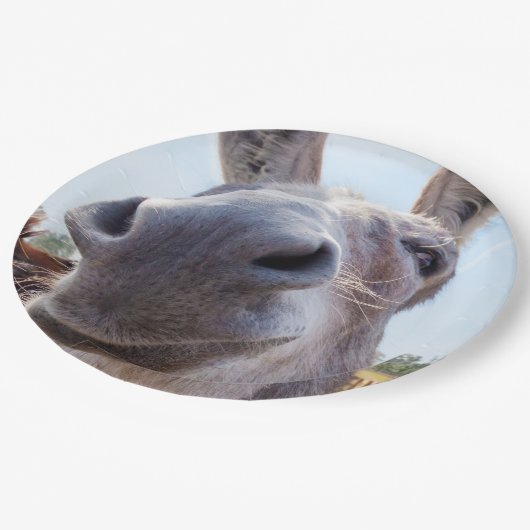 Assiettes En Carton Âne souriant gris comique (Angle)