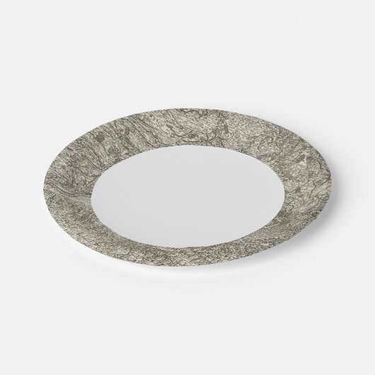 Assiettes En Carton Angers (Angle)