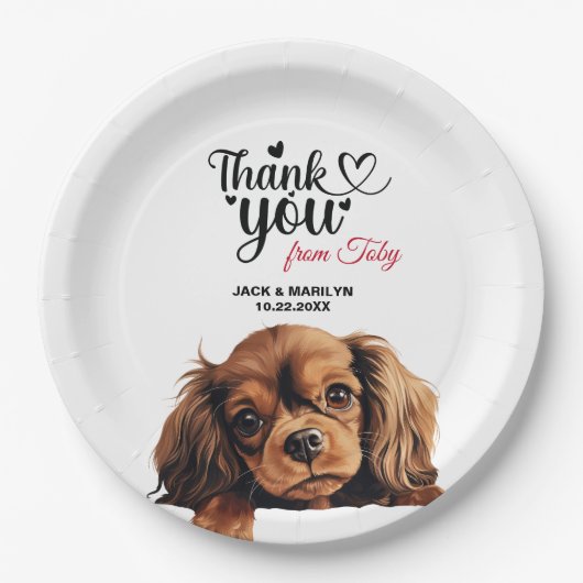 Assiettes En Carton Anglais Toy Spaniel (Devant)