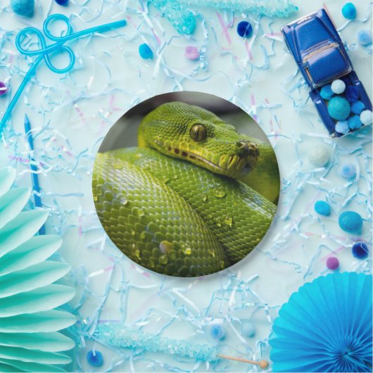 Assiettes En Carton Animal de serpent de python (Fête)