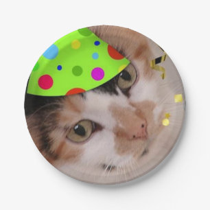 Assiettes En Carton Anniversaire de Calico Cat