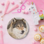 Assiettes En Carton Anniversaire loup mignon garçon (Fête)
