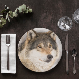 Assiettes En Carton Anniversaire loup mignon garçon