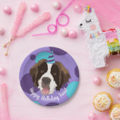 Assiettes En Carton Anniversaire Saint Bernard (Fête)