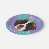 Assiettes En Carton Anniversaire Saint Bernard (Angle)
